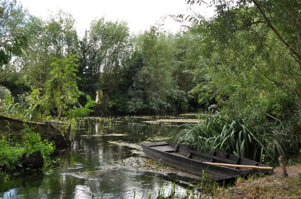 Barque (le Marais, environs de Bourges)