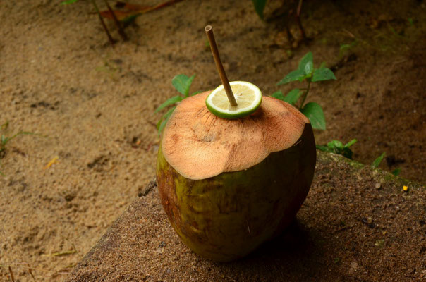 Lait de coco (Tapakala, Madagascar)