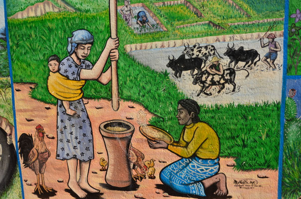 Travaux des champs (Ambalavao, Madagascar)
