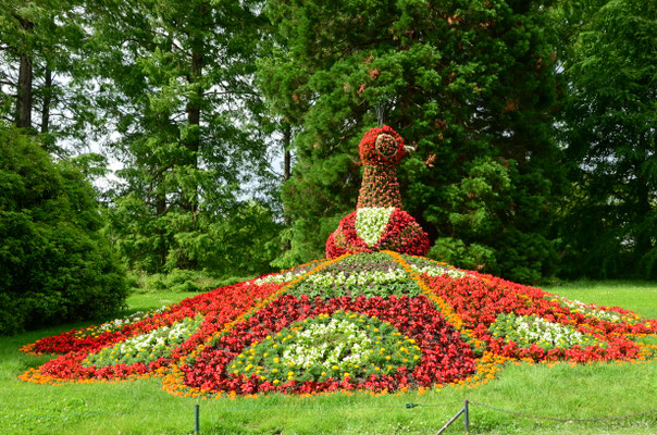 Jardin de l'île de Mainau, Bade-Wurtemberg, Allemagne