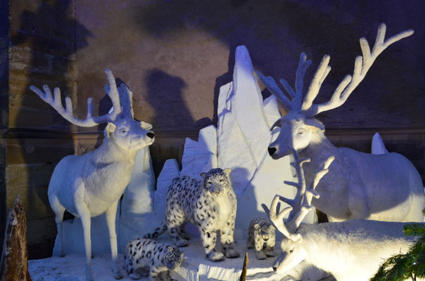 Décor du Grand Nord (Thann)