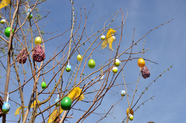 Arbre à œufs (Colmar)