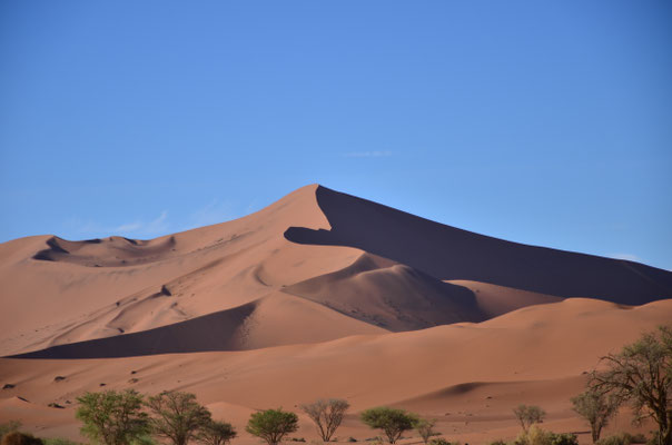 Dunes de Sossusvlei, Namibie