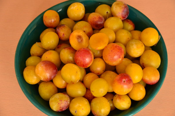Mirabelle