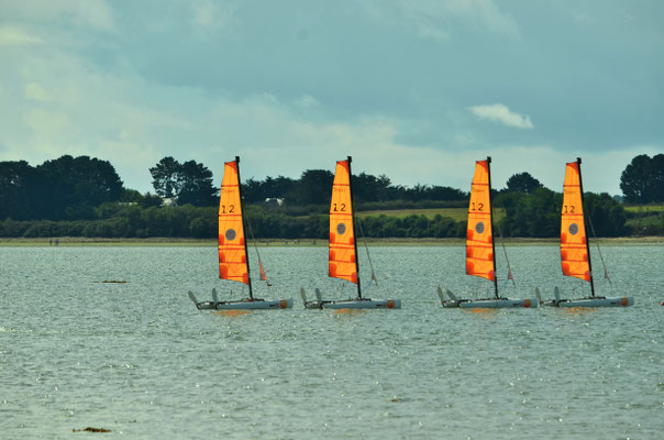 Voiles sur la mer