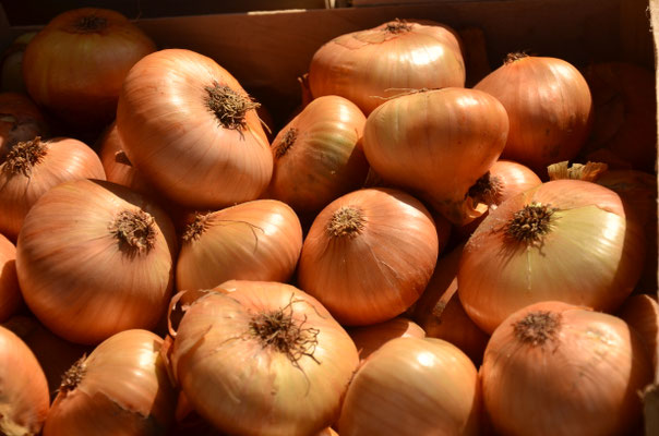 Oignons