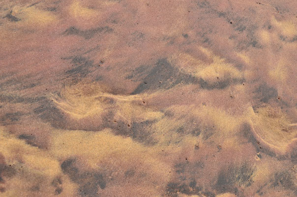 Sable coloré du désert du Namib, Namibie