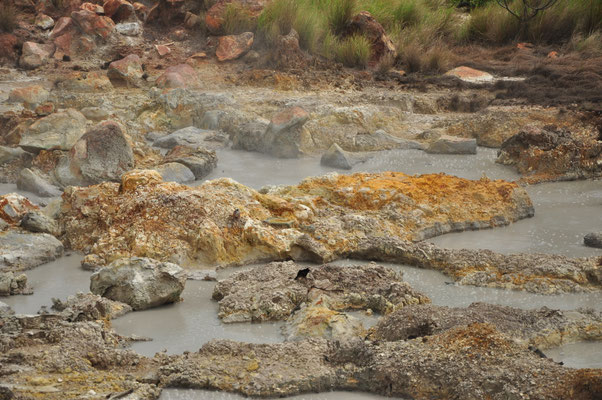 Roches volcaniques, Rincon de la Vieja, Costa Rica