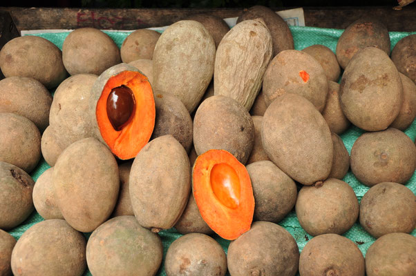 Sapote mamey (Costa Rica)