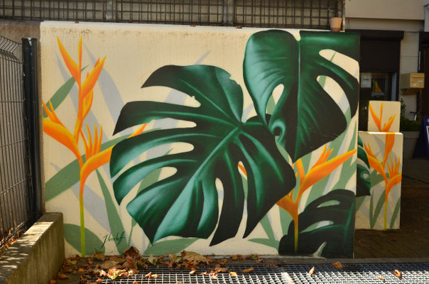 Plantes tropicales
