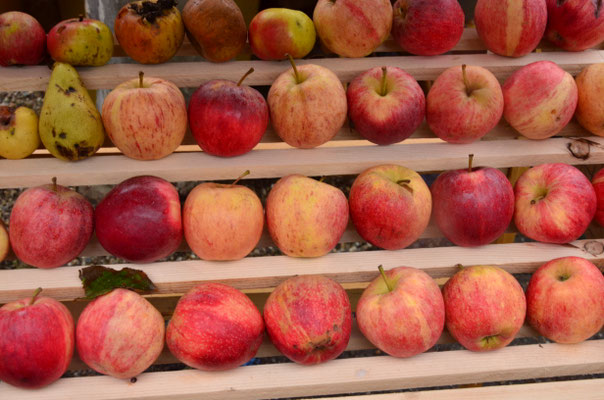 Pomme