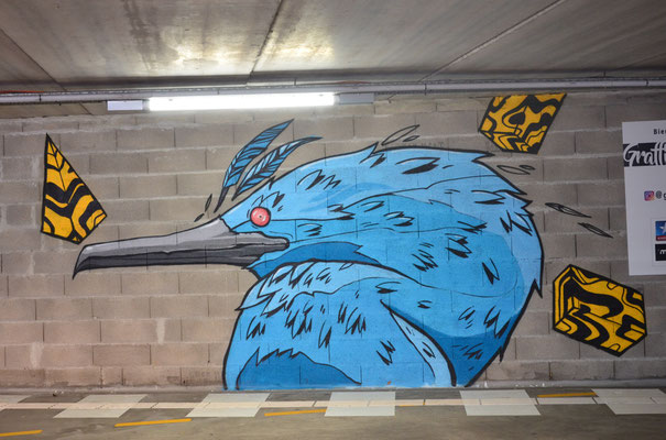 Cormoran bleu, de Edouard Blum