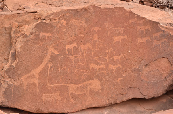 Gravures rupestres préhistoriques à Twyfelfontein