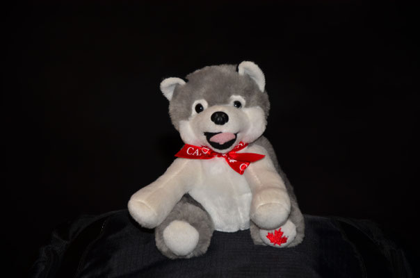 Douce peluche