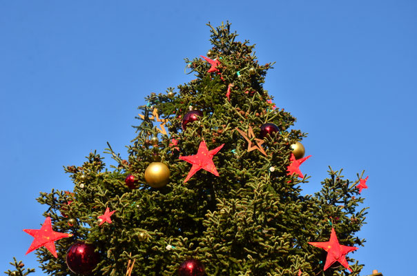 Grand sapin (Mulhouse)