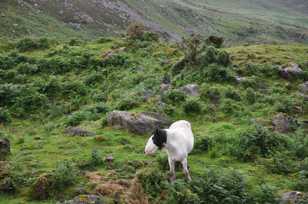 Gap of Dunloe, Irlande