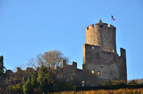 Château de Kaysersberg (Haut-Rhin)