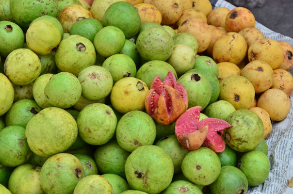Goyave (Inde)