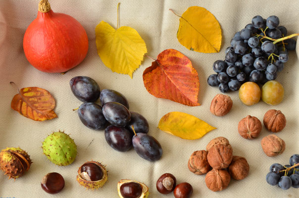 Richesses de l'automne
