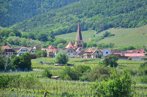 Village de Niedermorschwihr