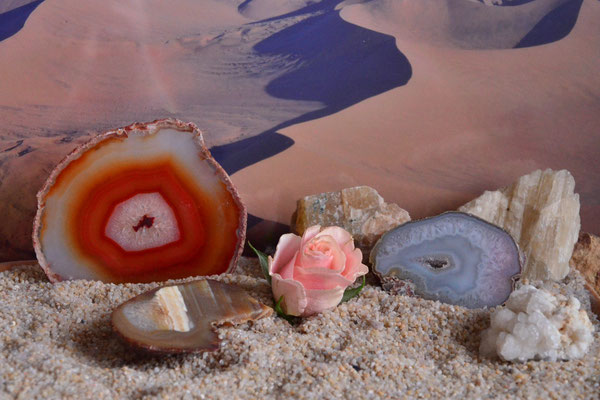 Rose des sables