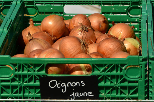 Oignon jaune