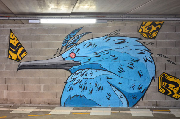 Cormoran bleu