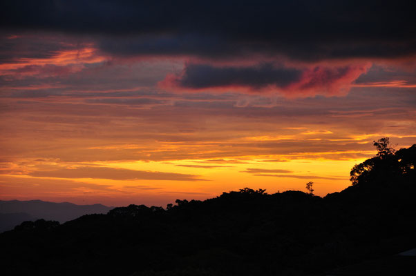 Crépuscule à Monteverde (Costa Rica)
