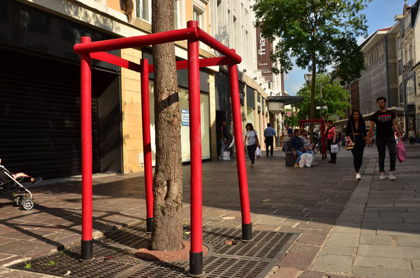 Arbre encagé