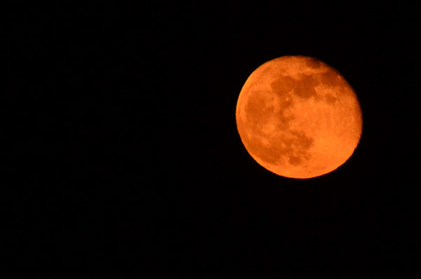 Lune rousse