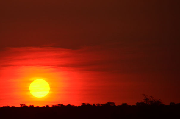 Coucher de soleil dans le Kalahari (Namibie)