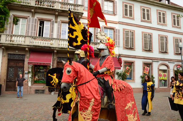 Chevaliers dans toute leur splendeur (Sélestat, juillet 2016)