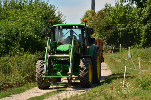 Tracteur (Reiningue, Haut-Rhin)