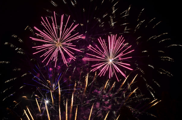 Etoiles roses