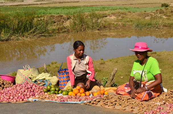 Vente de fruits et légumes sur la route d'Ambositra (Madagascar)