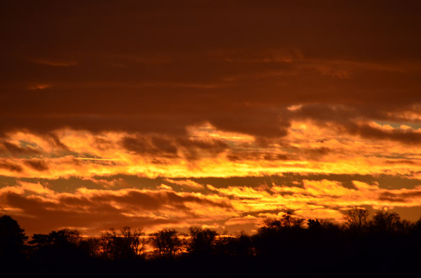 Aube feu (Mulhouse, Haut-Rhin)  Décembre 2016