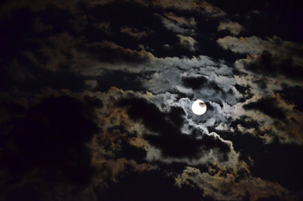 Ciel nocturne