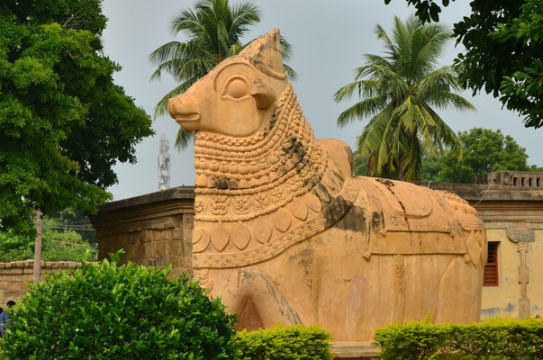 Nandi, le taureau monture du dieu Shiva