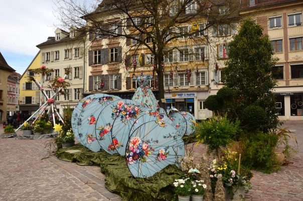 Décor de printemps (Mulhouse)