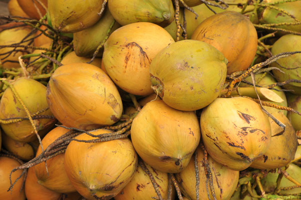 Fruits du cocotier