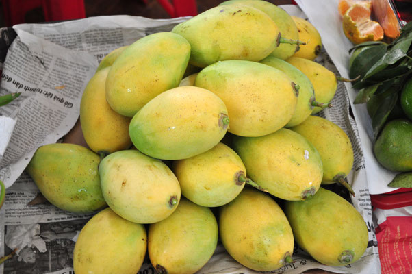 Mangue (Vietnam)
