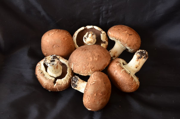 Champignons de Paris