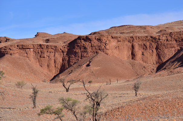 Désert du Namib