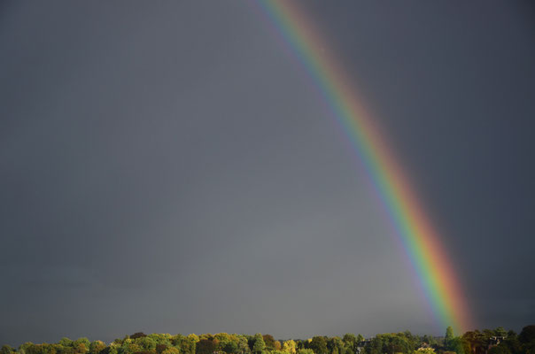 Arc-en-ciel, symbole de l'alliance avec Noé