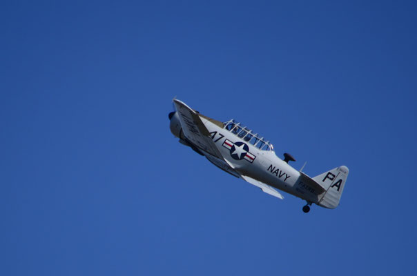 Avion de meeting aérien (Habsheim)