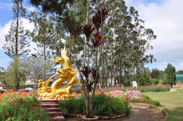 Parc de la vallée d'Amour à Dalat (Vietnam)