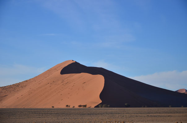 Dune rouge du désert du Namib, Namibie