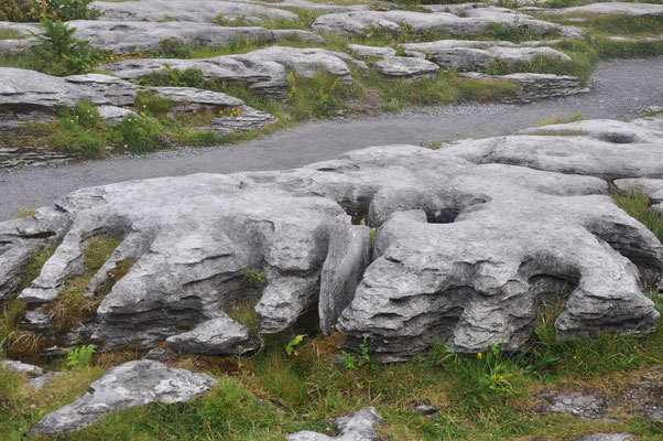 Désert de Burren, Irlande