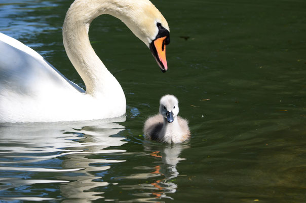 Coucou, mon bébé !