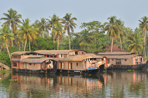 Backwaters (état du Kerala, Inde)